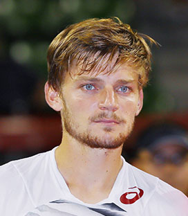 david goffin