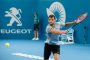 ATP - ATP-slutspelet – Sammanfattning – 2017